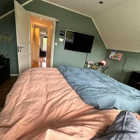 Enebolig I Larkollen Vakantiehuis Moss